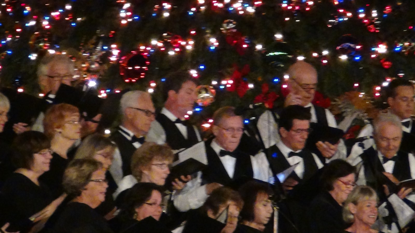 Performers at December Nights, Balboa Park