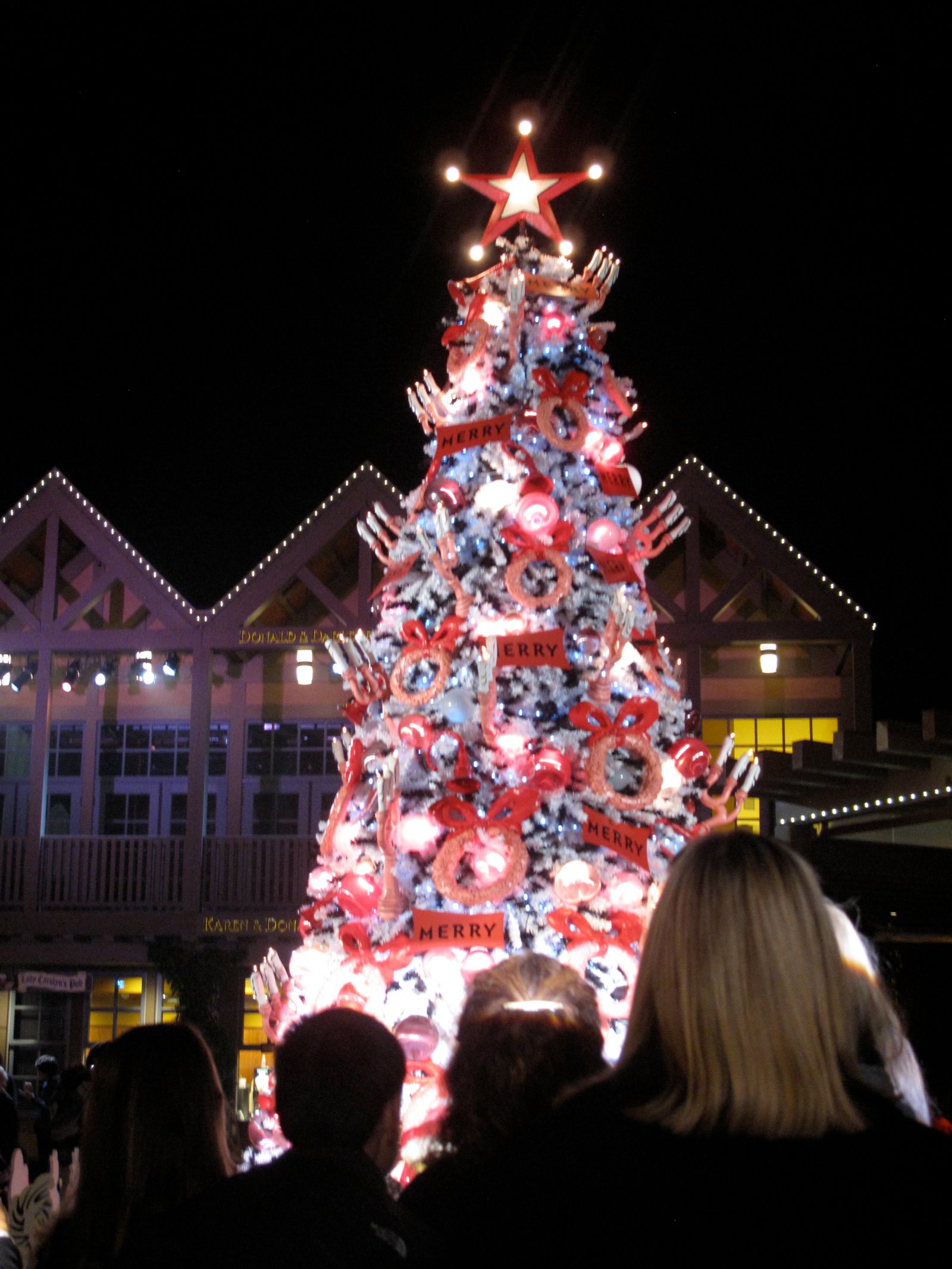 Christmas Tree, near Museum of Man, Balboa Park