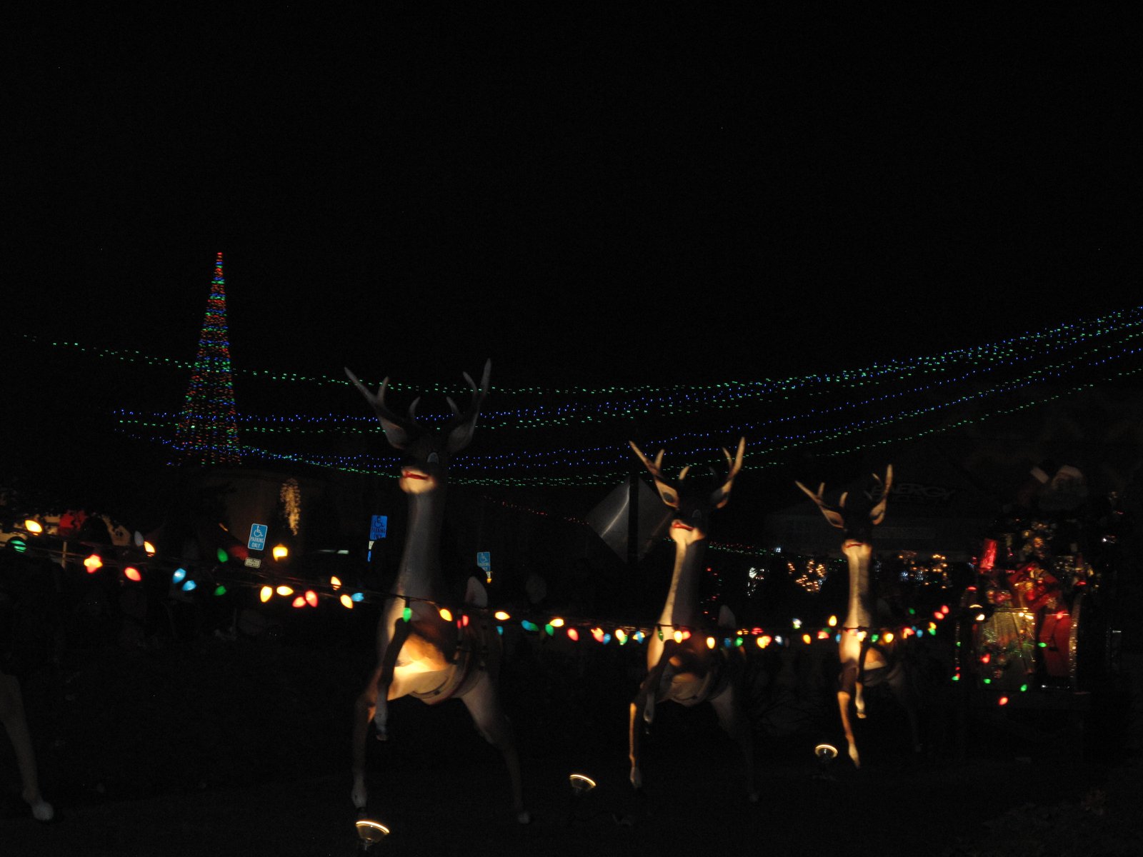 Reindeers, December Nights at Balboa Park