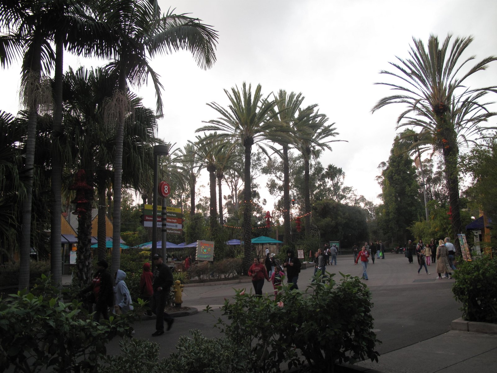 San Diego Zoo