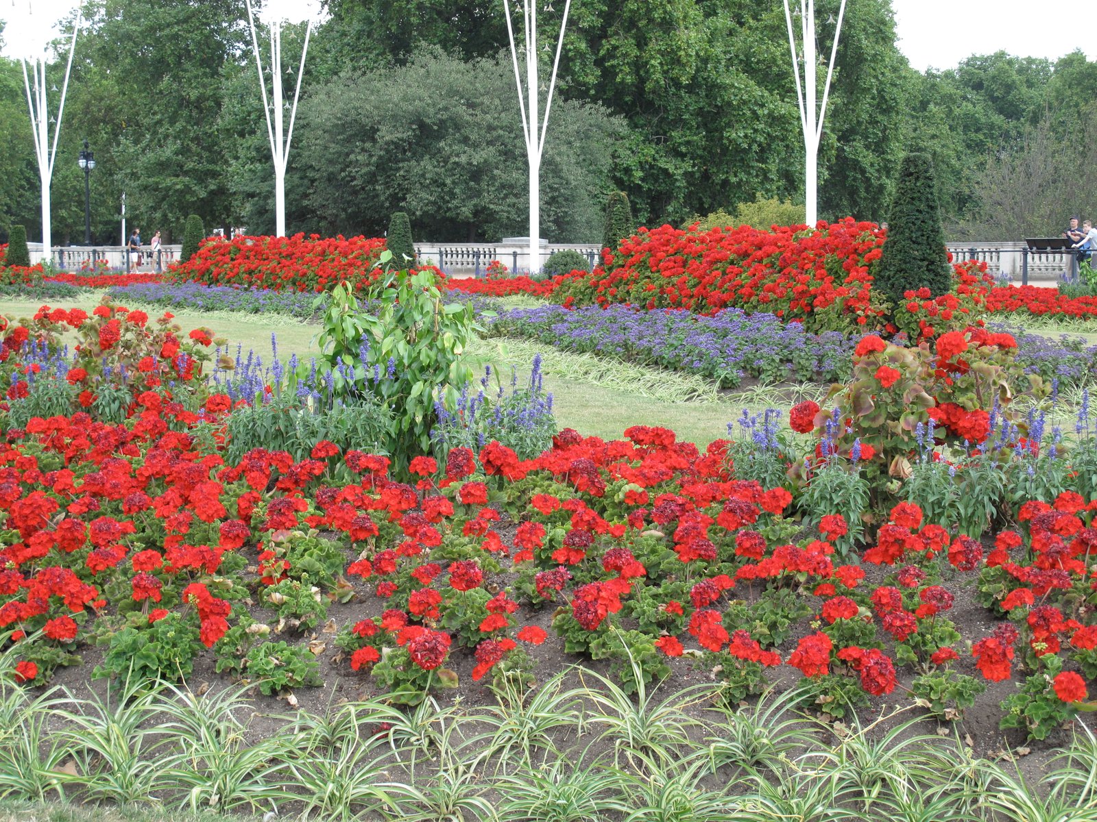 Flowers of London, near Buckingham Palace