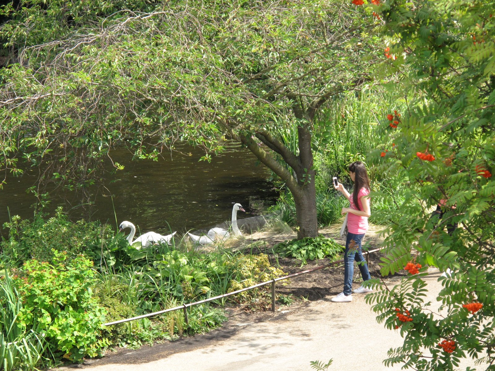 St. James's Park