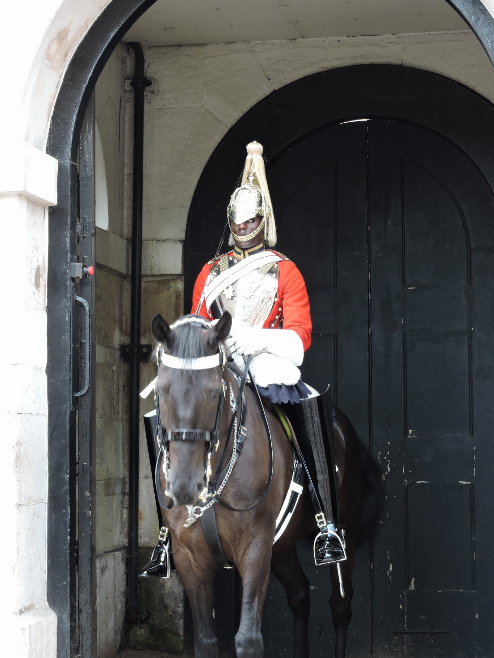 Life Guard, Household Cavalry - Horse Guards Parade, Whitehall