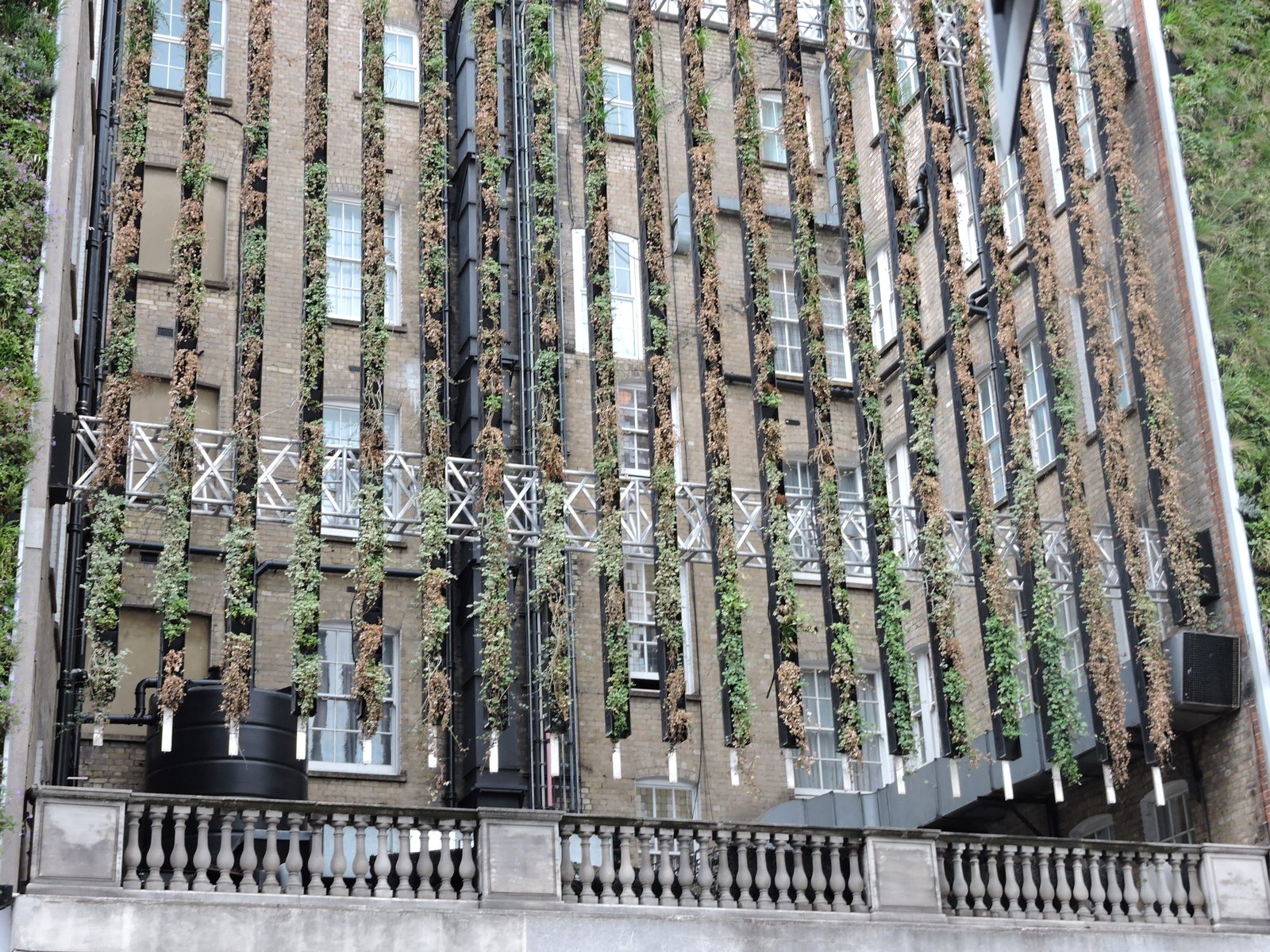 Interesting Building in Victoria