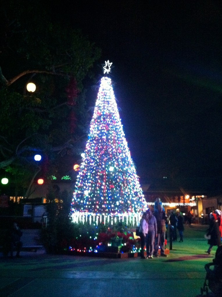 Christmas Tree at San Diego Zoo