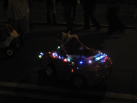 Dog in a Car with Christmas Lights at Balboa Park