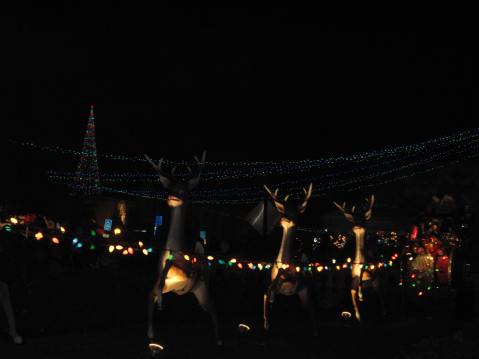 Reindeers, December Nights at Balboa Park