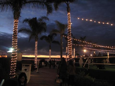 The Hotel Del, Coronado