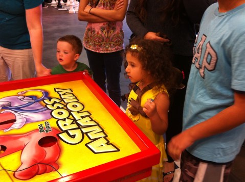 The San Diego County Fair