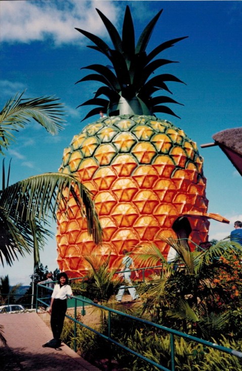 Big Pineapple, Sunshine Coast