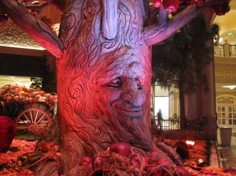 Thanksgiving Time - Las Vegas