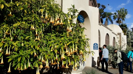 Botanical Building, Balboa Park