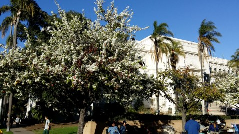 Balboa Park, San Diego