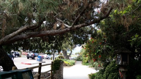 Seagrove Park, Del Mar Beach
