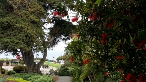 Seagrove Park, Del Mar