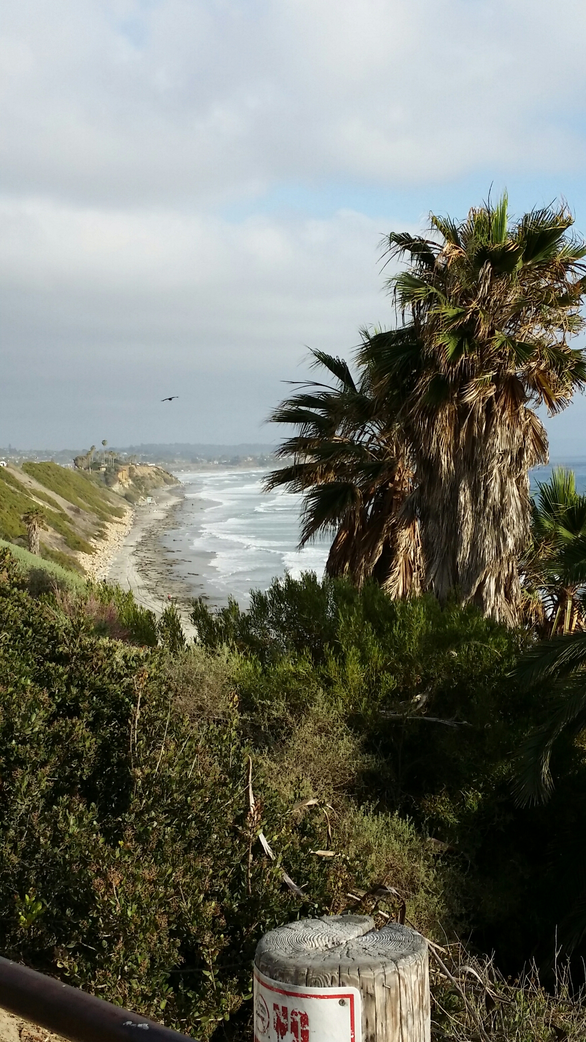 Swami's Beach, Encinitas