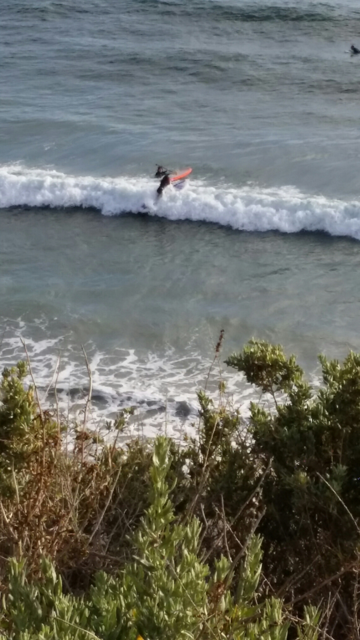 Swami's Beach, Encinitas