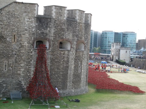 The Tower Of London and A Sea of Remembrance 
