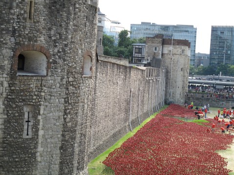 Poppies at The Tower of London