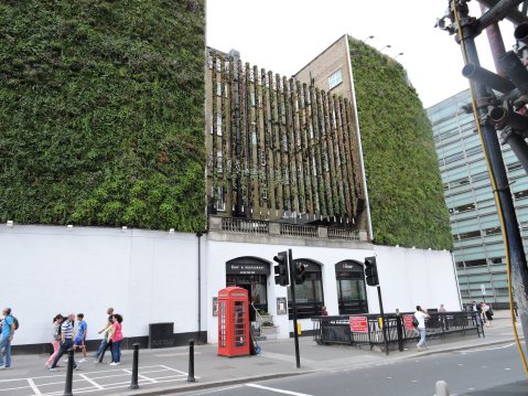 Interesting Building in Victoria