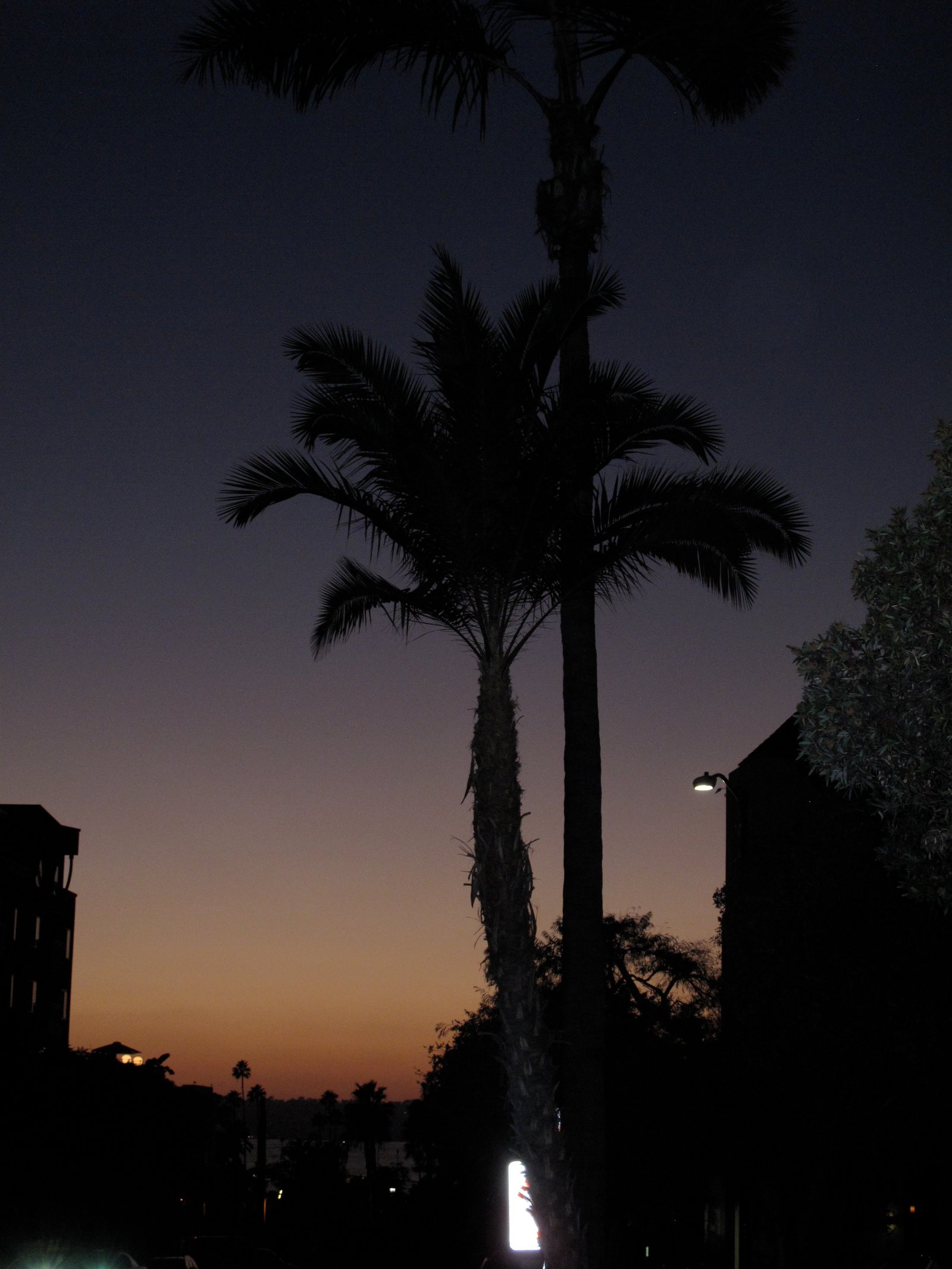 Little Italy, San Diego