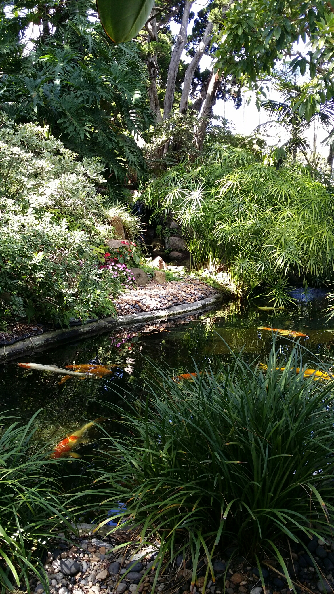 Meditation Gardens, Encinitas