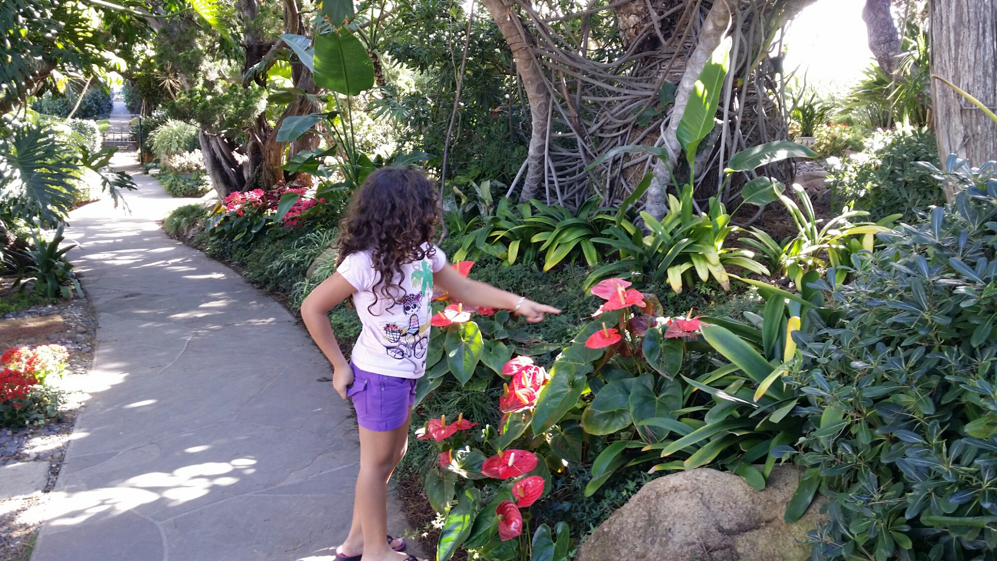 Meditation Gardens, Encinitas