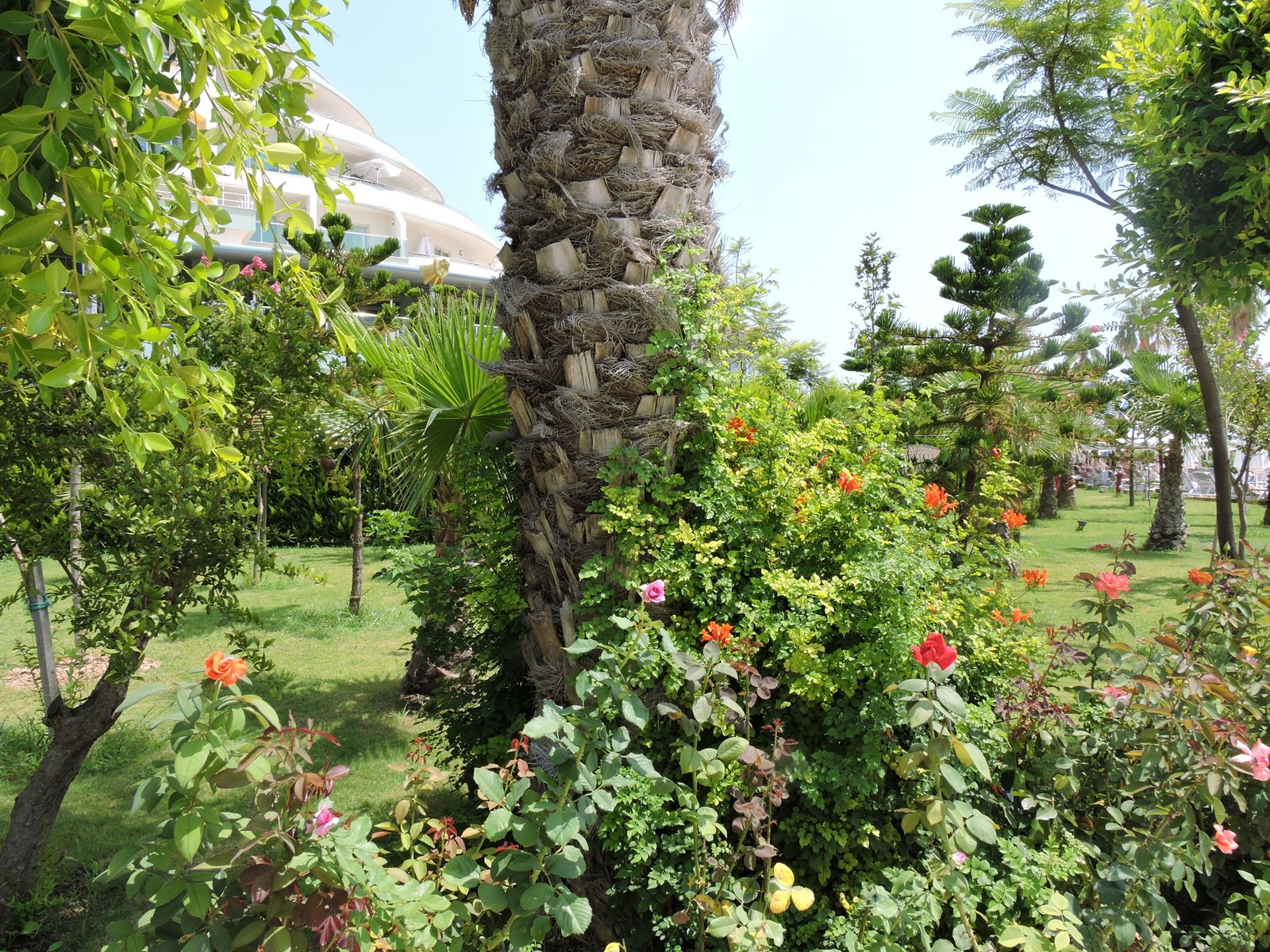 The Delphin Imperial, Antalya