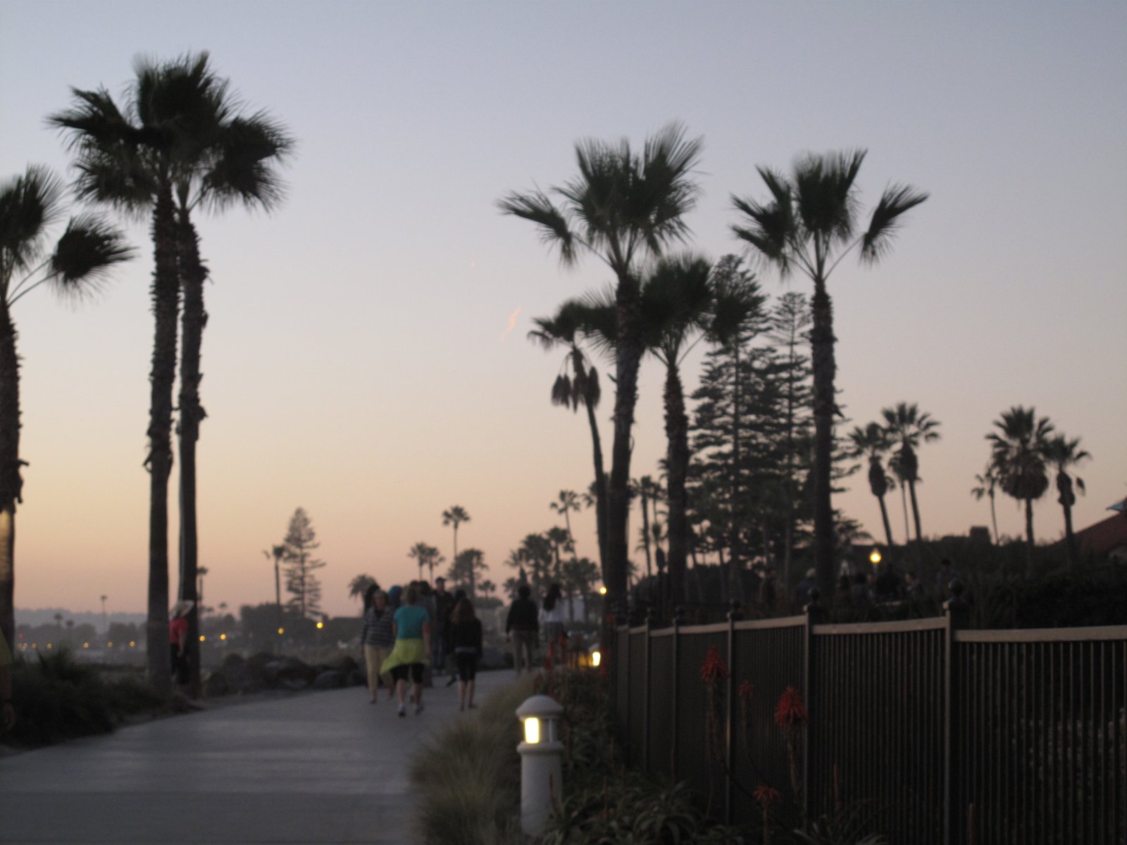 The Hotel Del, Coronado