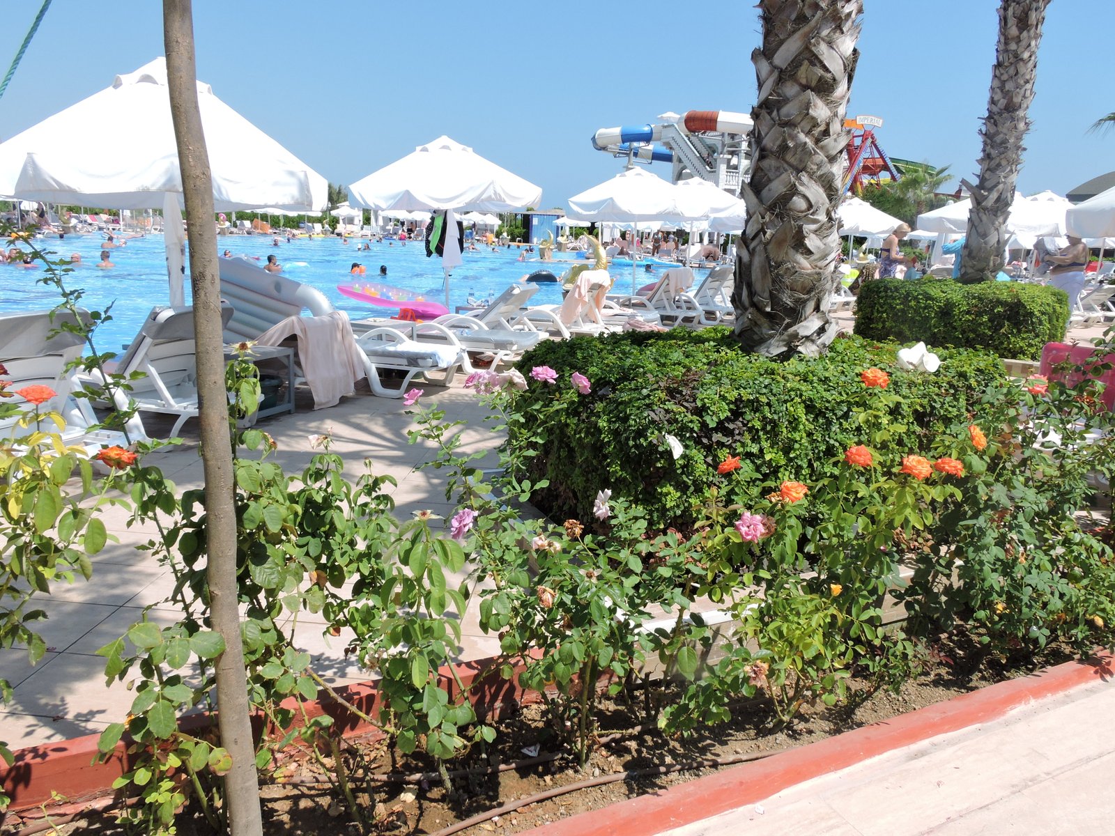 Swimming Pools and Grounds of Delphin Imperial, Lara