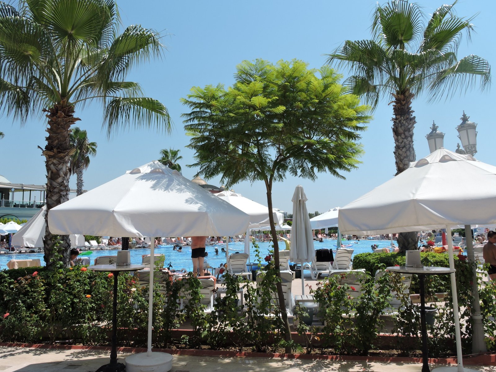 Swimming Pools And Grounds At Delphin Imperial, Lara