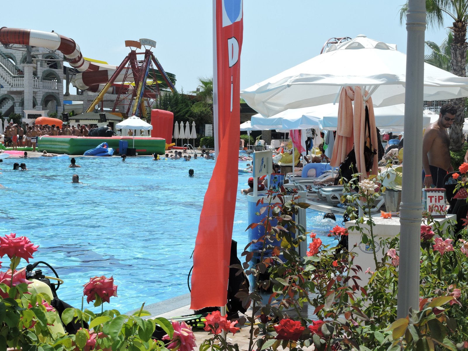 The Swimming Pools and Grounds of Delphin Imperial, Lara Beach