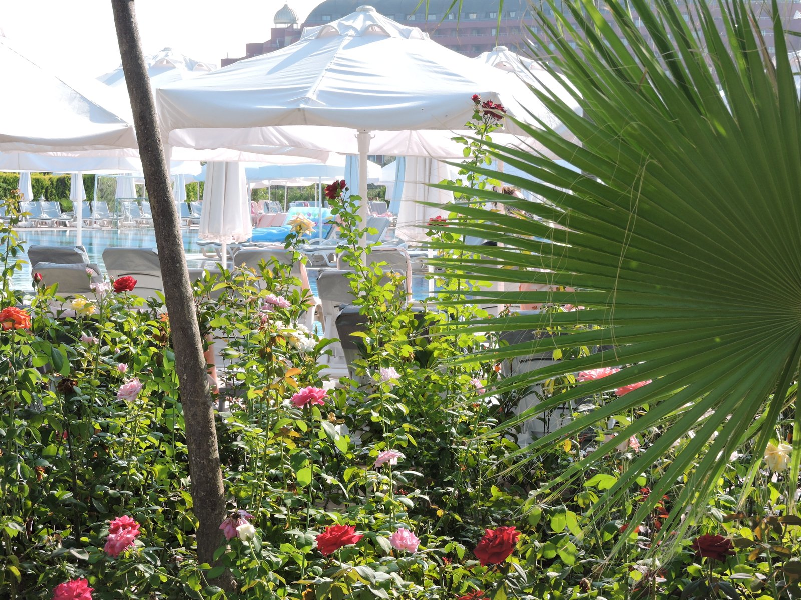 Grounds at Delphin Imperial, Lara Beach