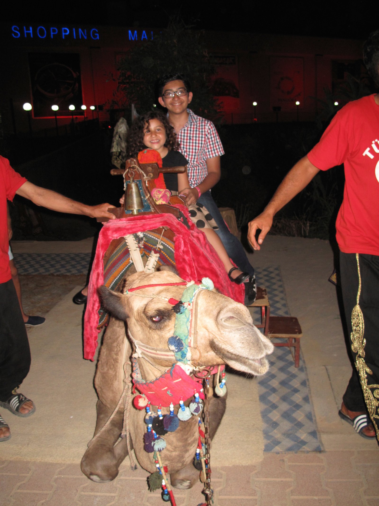 Walking Distance near Delphin Imperial, Lara- camel time!
