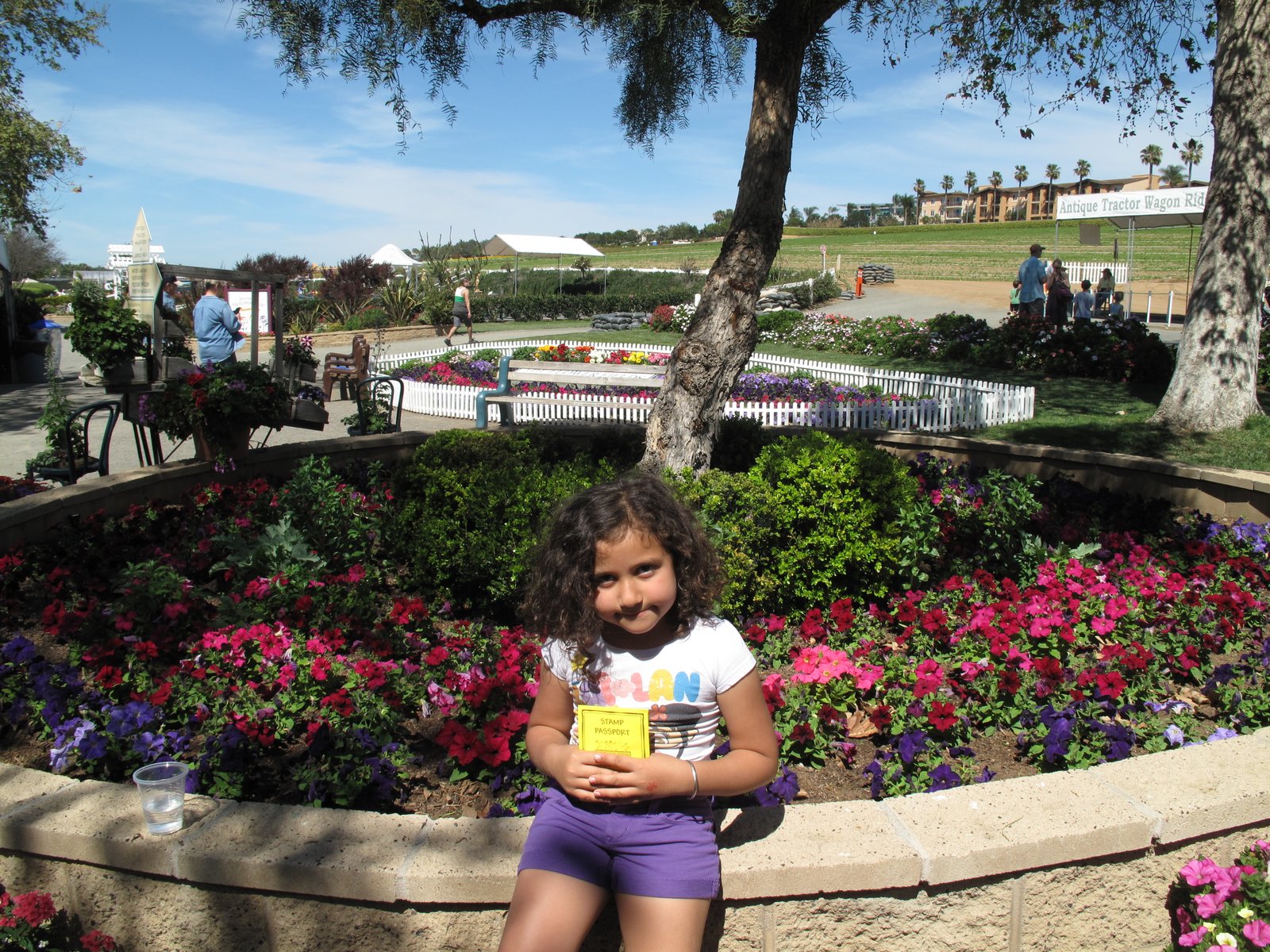 The Flower Fields, Carlsbad - San Diego