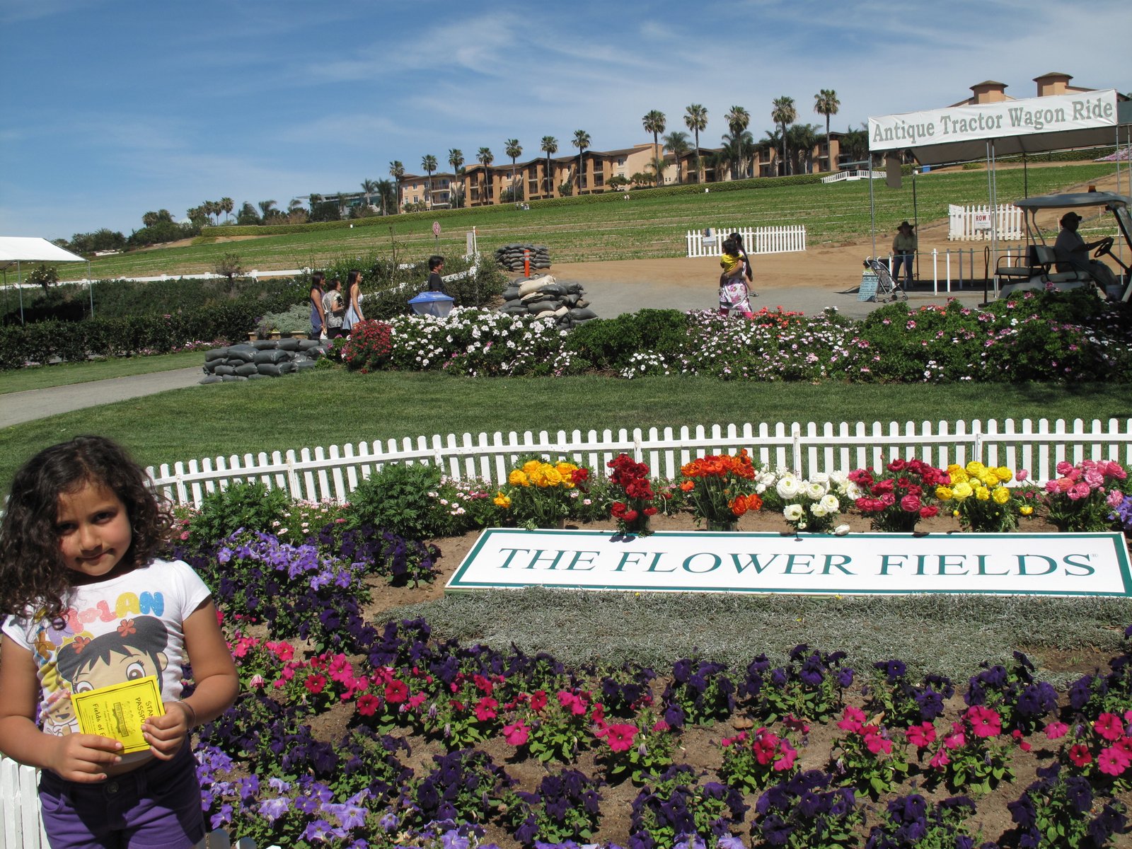 The Flower Fields, Carlsbad - San Diego