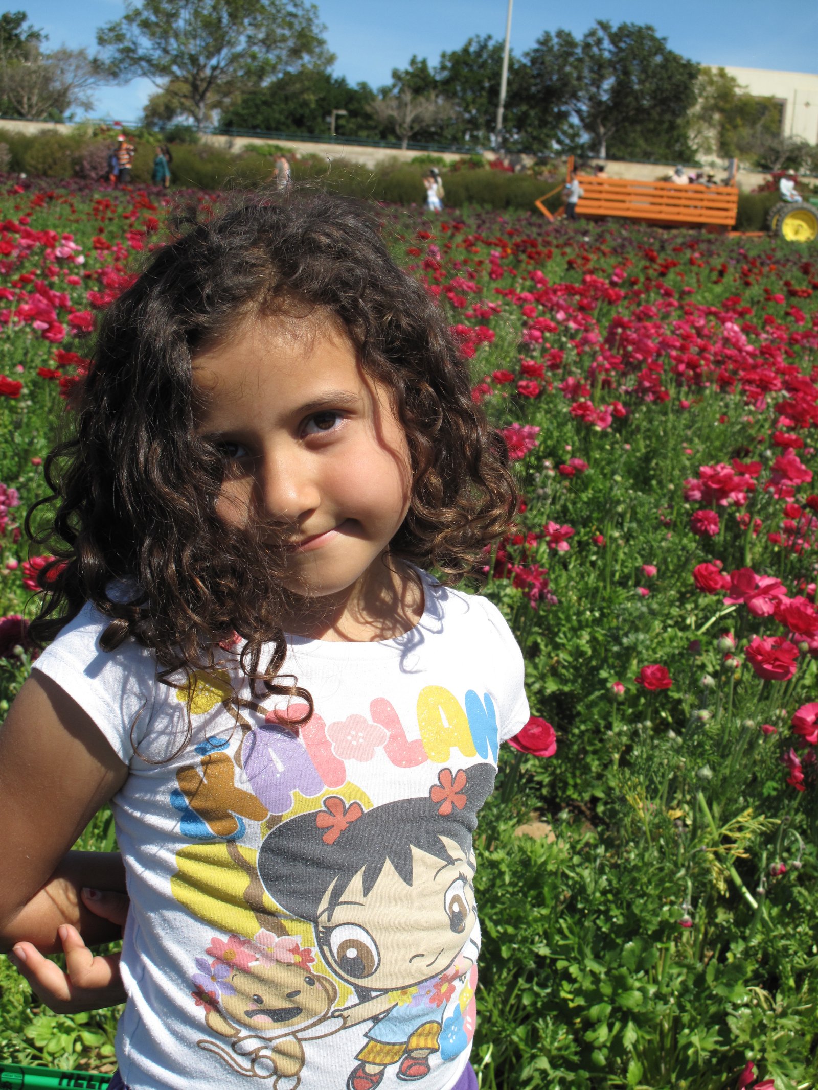The Flower Fields, Carlsbad - San Diego