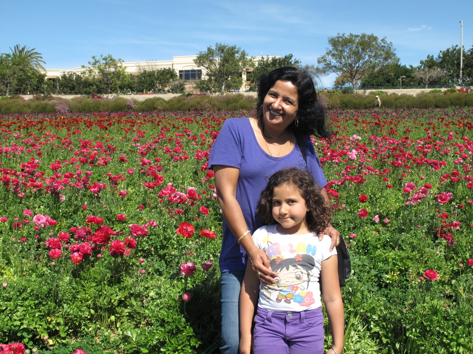 The Flower Fields, Carlsbad - San Diego