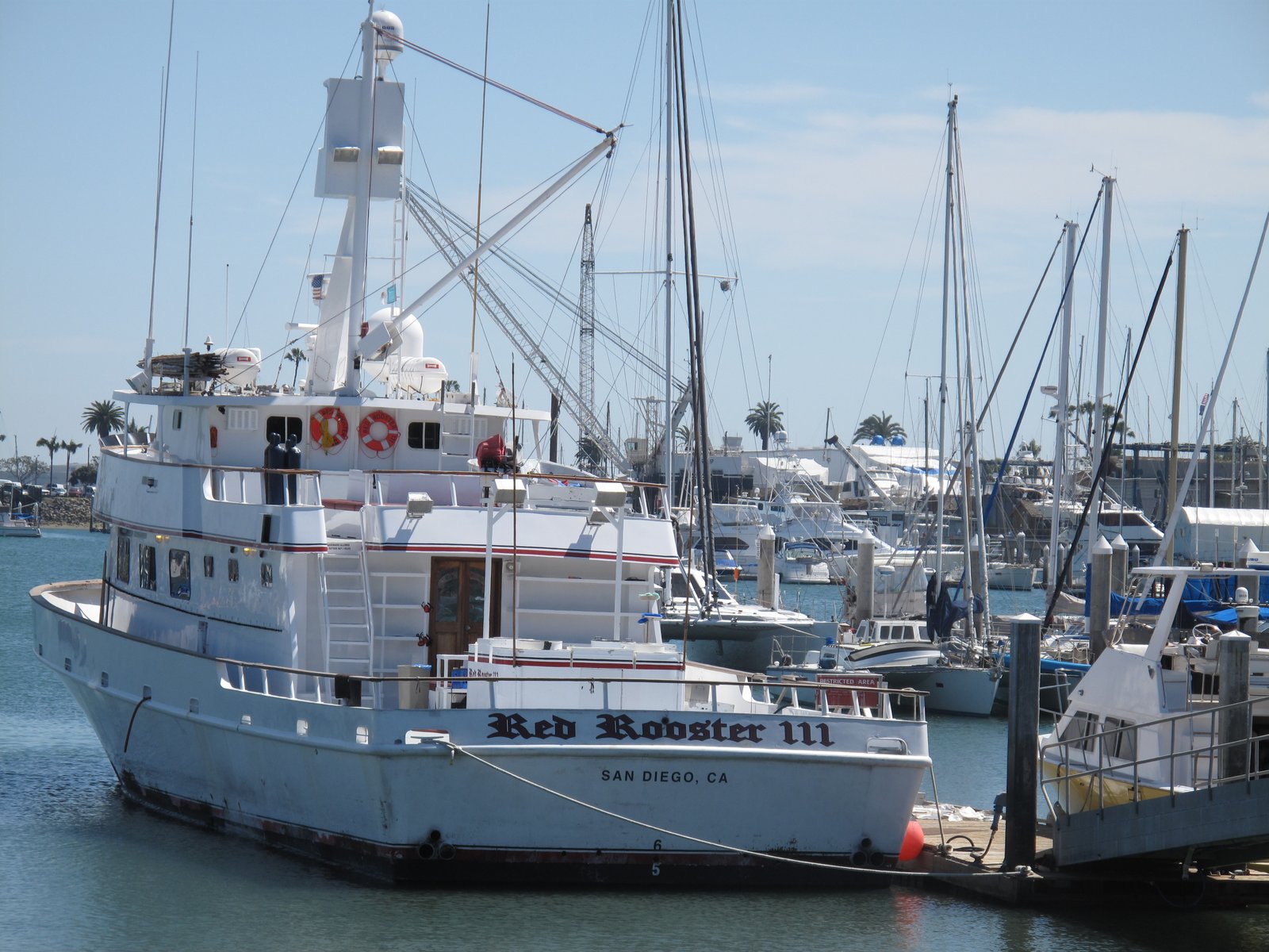 Point Loma, San Diego