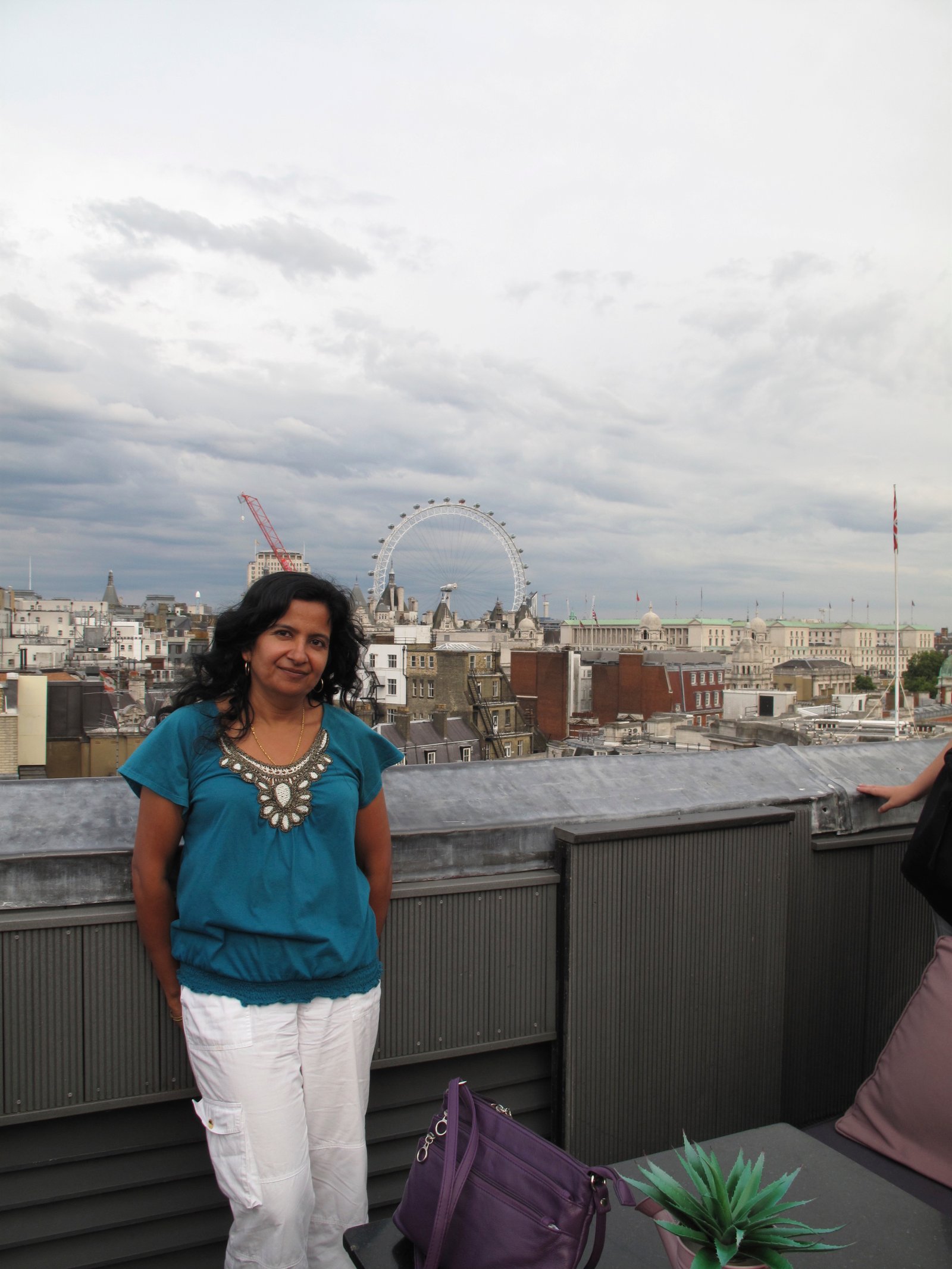 View From Trafalgar Hilton