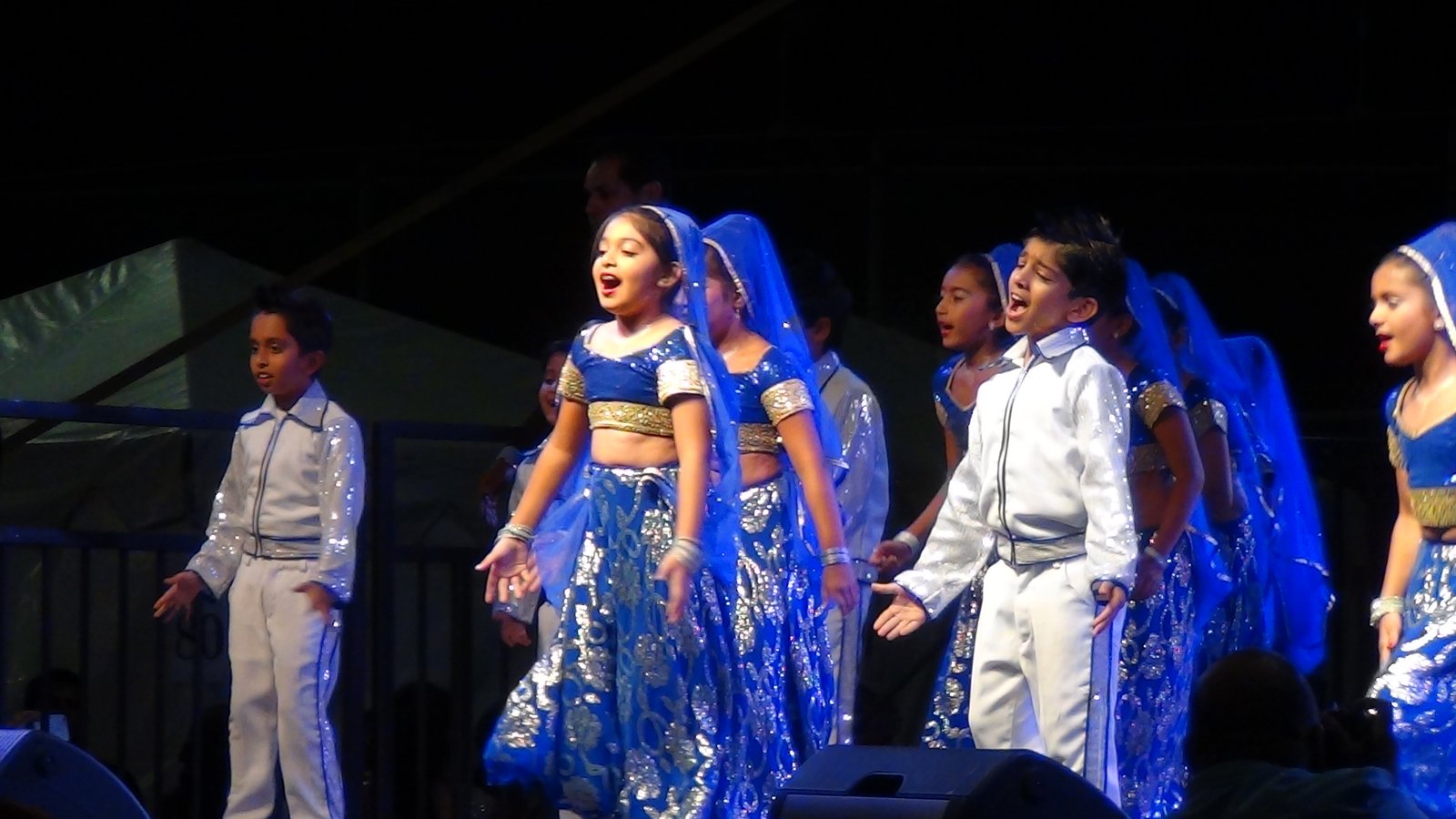 Indian Independence Day Celebration