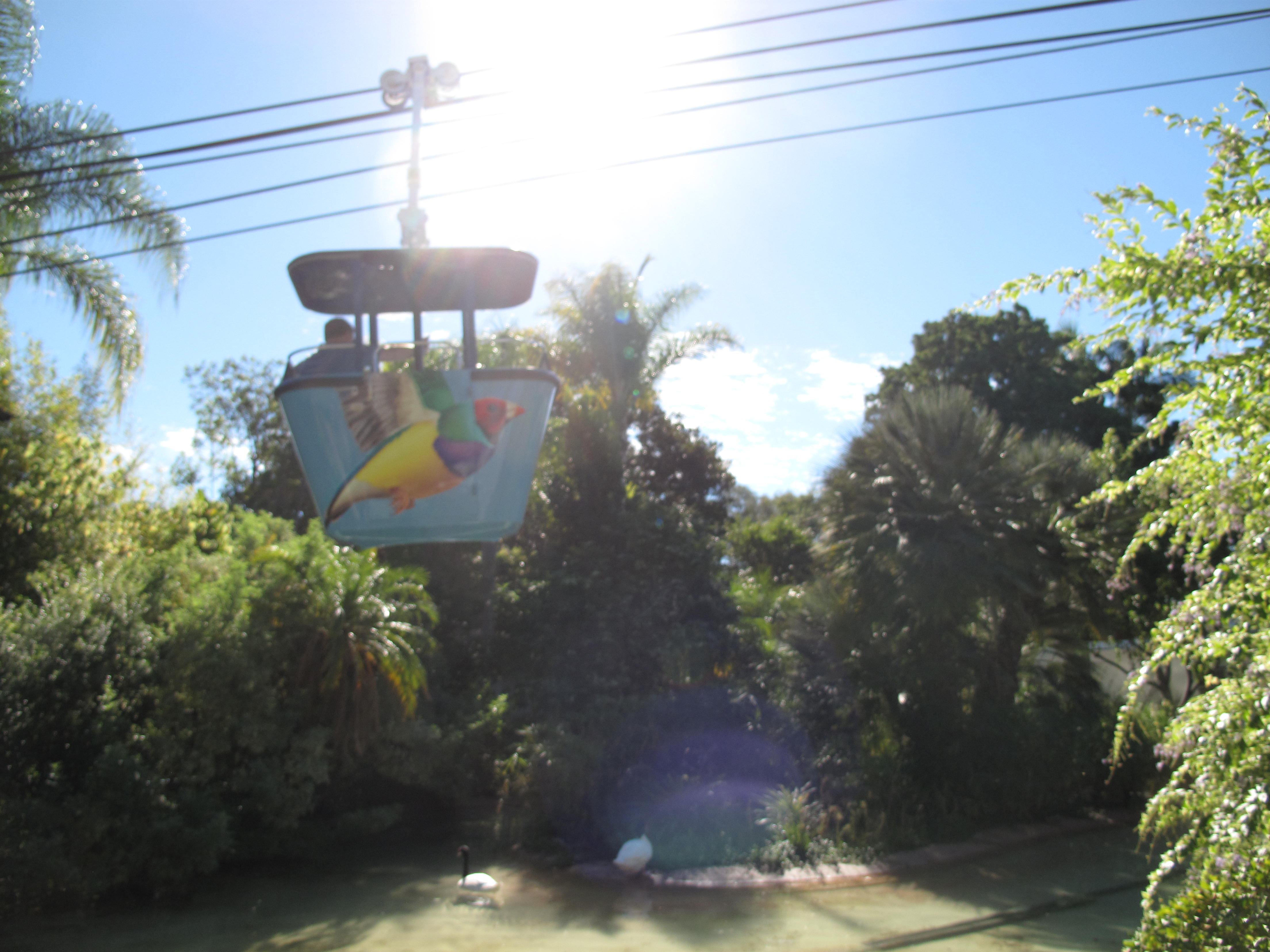 The Sky Ride At The San Diego Zoo
